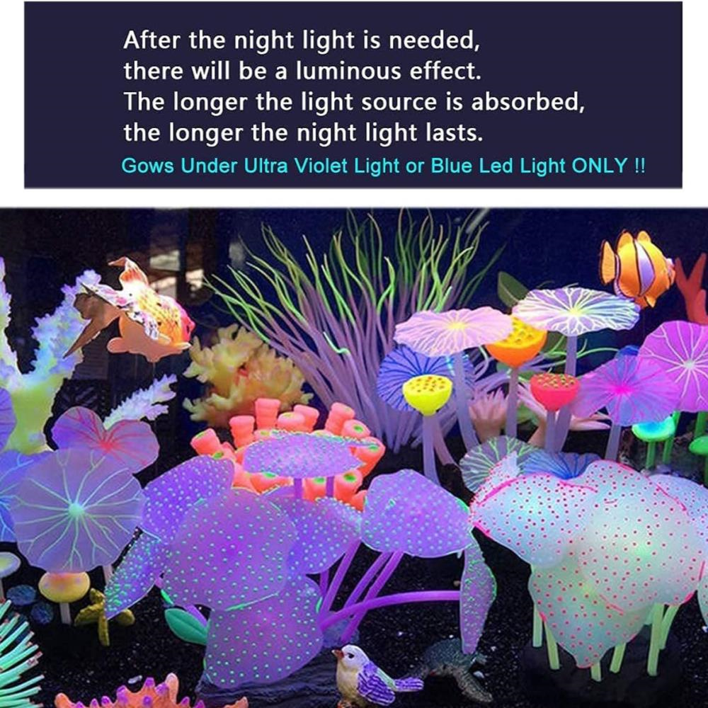 Glowing coral detail