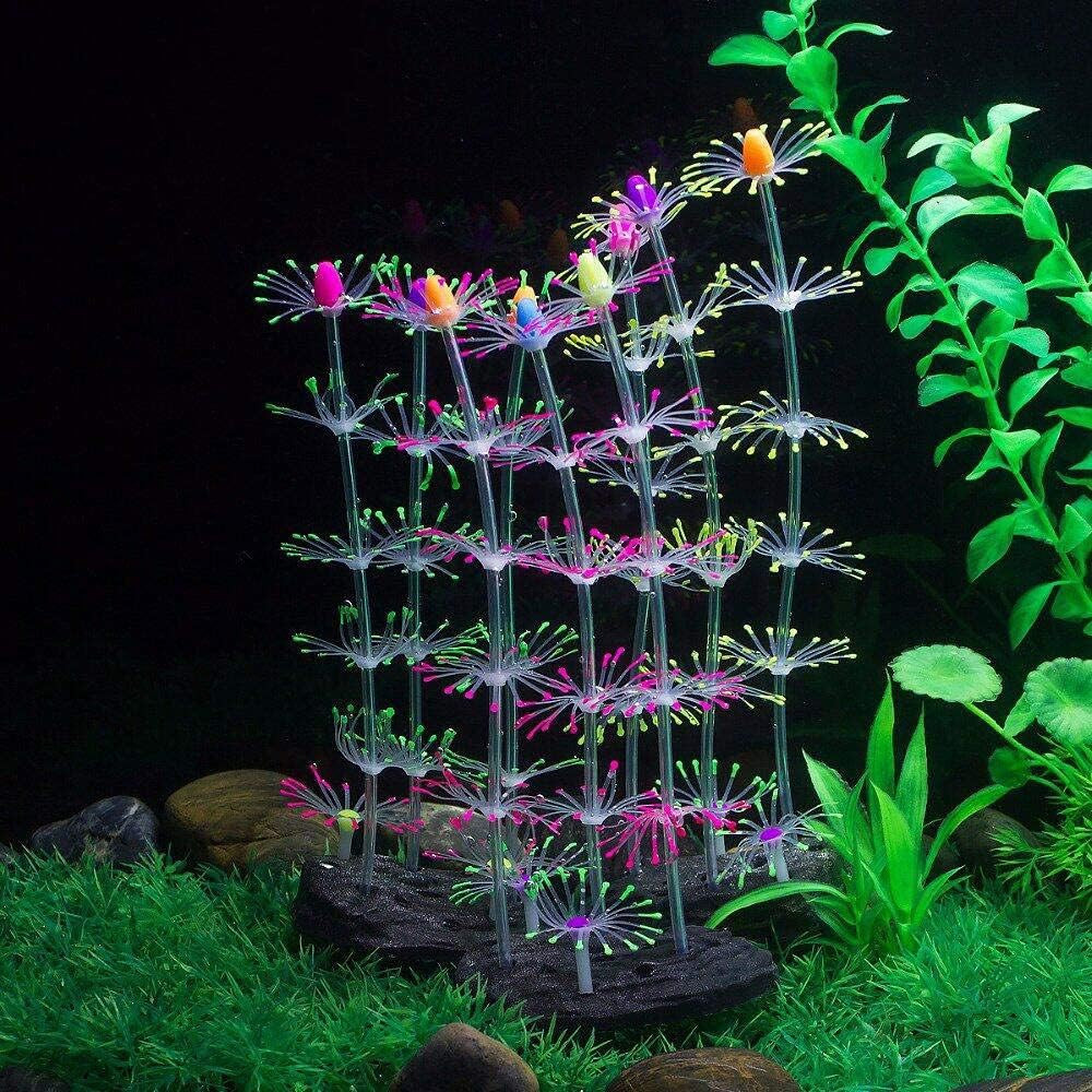 Aquarium setup with glowing coral
