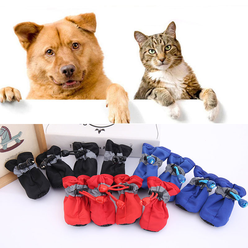 Dog shoes product image 3