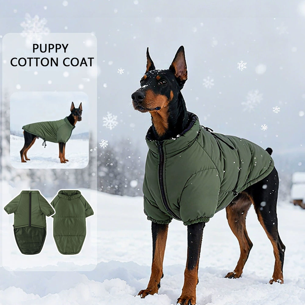 Dog Jacket Front View